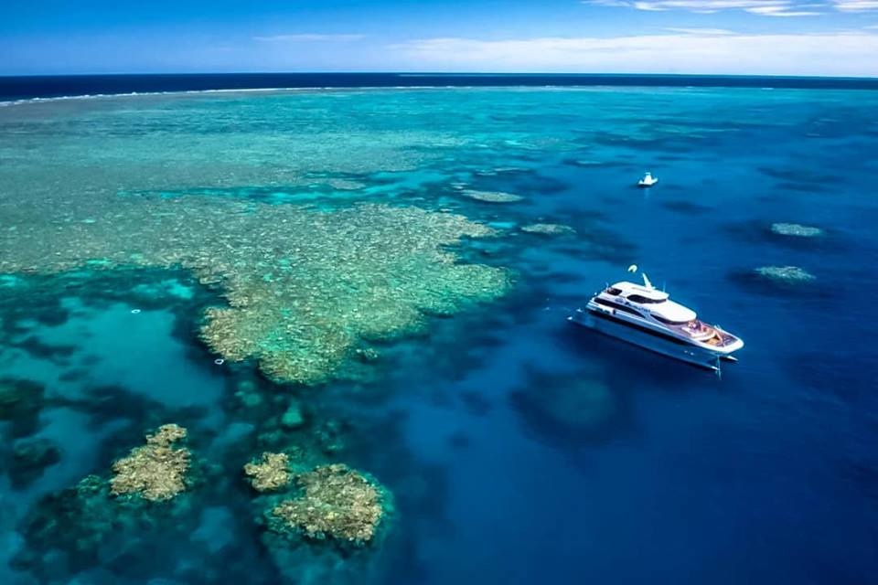 Cairns Reef Tours - Cairns - Tourism Town - Find & book authentic ...